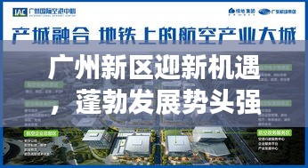 廣州新區(qū)迎新機(jī)遇，蓬勃發(fā)展勢頭強(qiáng)勁的新聞頭條