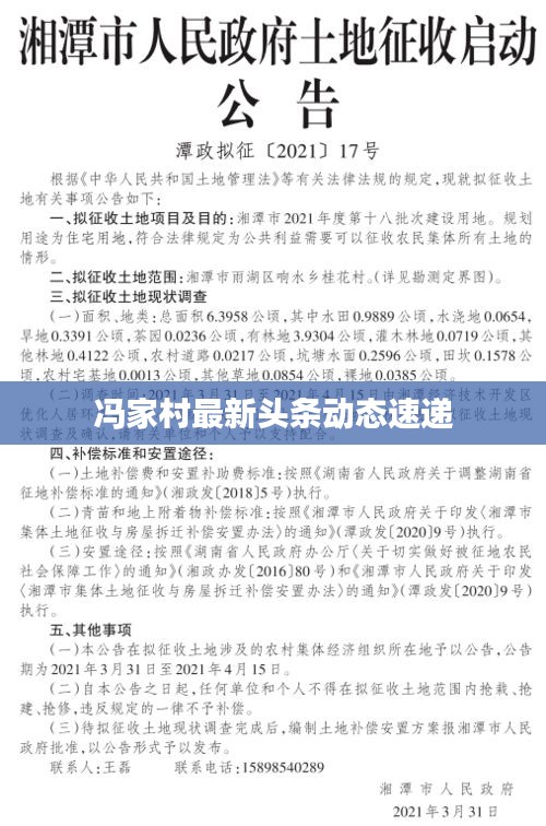 馮家村最新頭條動態(tài)速遞