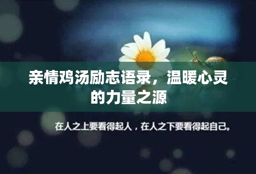 親情雞湯勵(lì)志語錄，溫暖心靈的力量之源