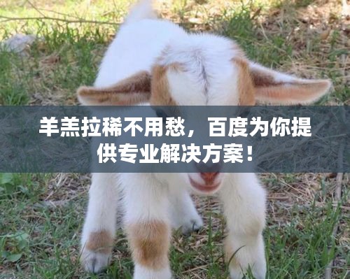 羊羔拉稀不用愁，百度為你提供專業(yè)解決方案！