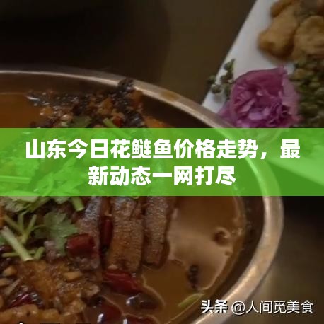 山東今日花鰱魚價格走勢，最新動態(tài)一網(wǎng)打盡