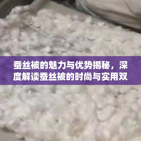 蠶絲被的魅力與優(yōu)勢(shì)揭秘，深度解讀蠶絲被的時(shí)尚與實(shí)用雙重價(jià)值