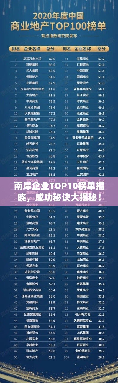 南岸企業(yè)TOP10榜單揭曉，成功秘訣大揭秘！