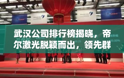 武漢公司排行榜揭曉，帝爾激光脫穎而出，領(lǐng)先群雄