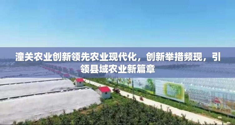 潼關(guān)農(nóng)業(yè)創(chuàng)新領(lǐng)先農(nóng)業(yè)現(xiàn)代化，創(chuàng)新舉措頻現(xiàn)，引領(lǐng)縣域農(nóng)業(yè)新篇章