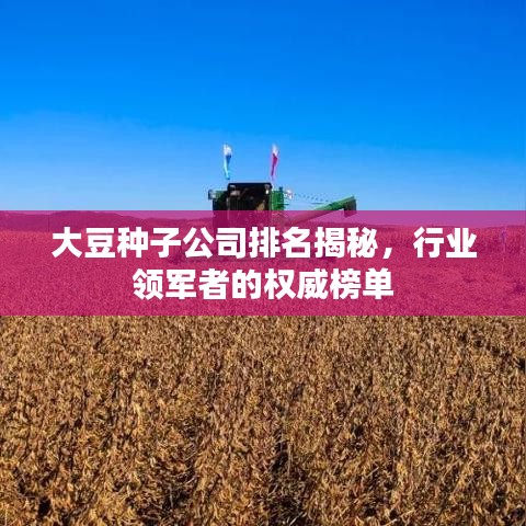 大豆種子公司排名揭秘，行業(yè)領(lǐng)軍者的權(quán)威榜單