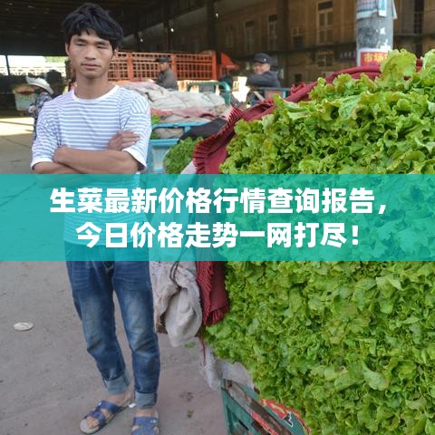 生菜最新價(jià)格行情查詢報(bào)告，今日價(jià)格走勢一網(wǎng)打盡！