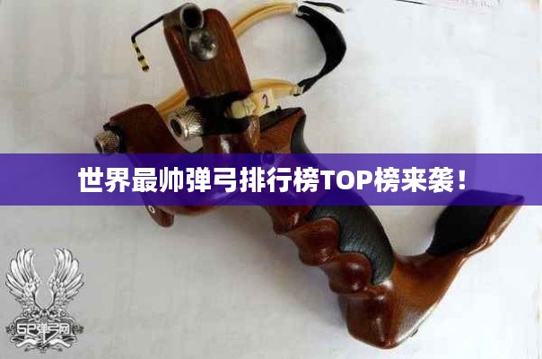 世界最帥彈弓排行榜TOP榜來襲！