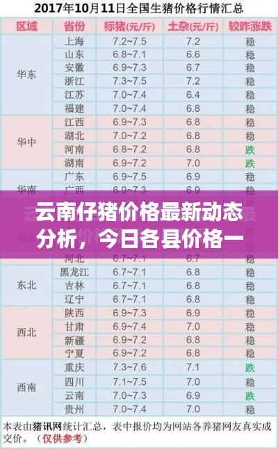 云南仔豬價(jià)格最新動(dòng)態(tài)分析，今日各縣價(jià)格一覽