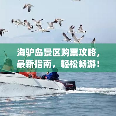 海驢島景區(qū)購票攻略，最新指南，輕松暢游！