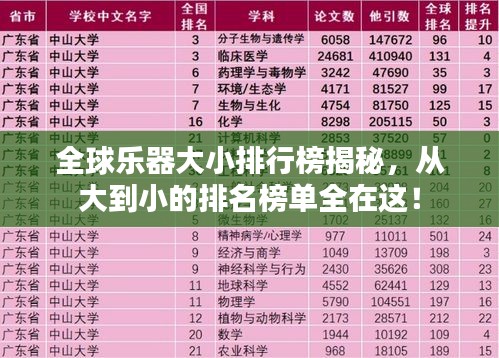 全球樂(lè)器大小排行榜揭秘，從大到小的排名榜單全在這！