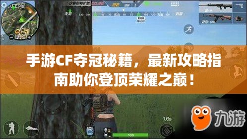 手游CF奪冠秘籍，最新攻略指南助你登頂榮耀之巔！