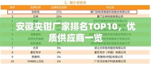 安徽夾鉗廠家排名TOP10，優(yōu)質(zhì)供應(yīng)商一覽