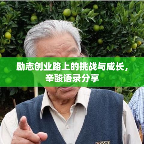 勵(lì)志創(chuàng)業(yè)路上的挑戰(zhàn)與成長，辛酸語錄分享