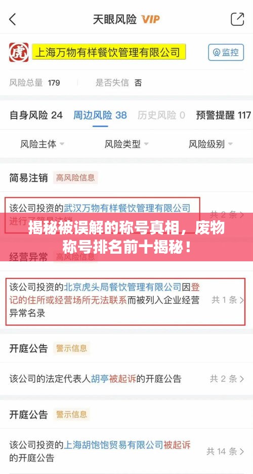 揭秘被誤解的稱號真相，廢物稱號排名前十揭秘！