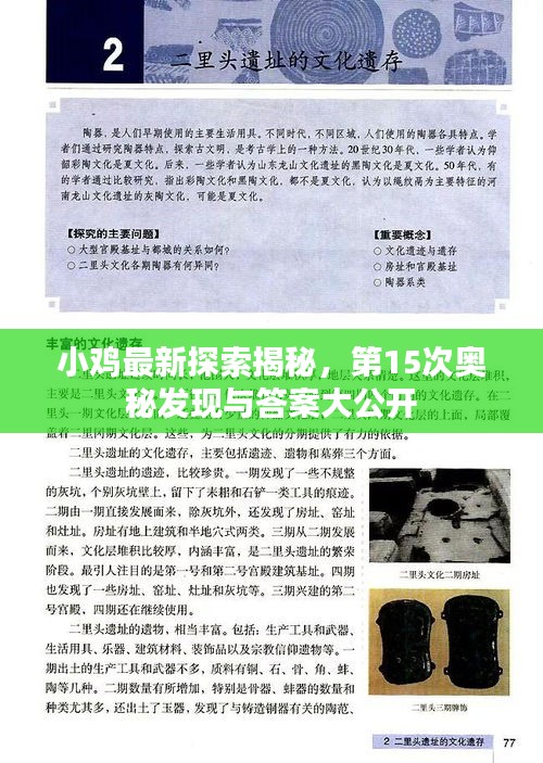 小雞最新探索揭秘，第15次奧秘發(fā)現(xiàn)與答案大公開