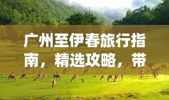 廣州至伊春旅行指南，精選攻略，帶你暢游兩地美景！