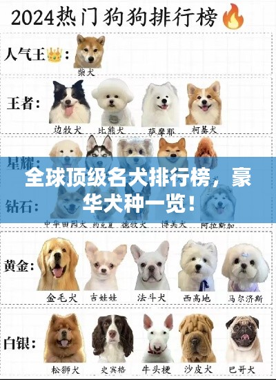 全球頂級(jí)名犬排行榜，豪華犬種一覽！