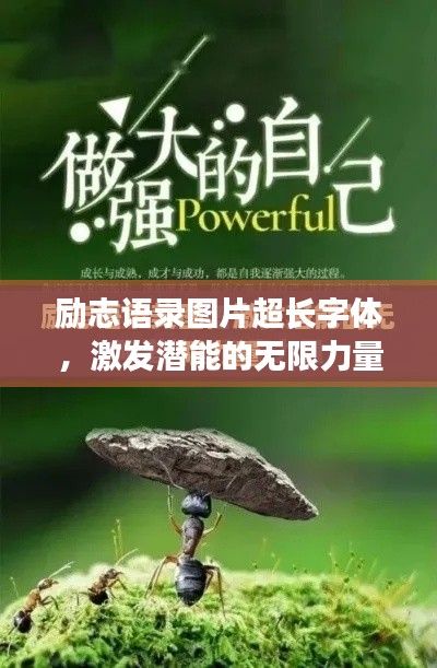 勵志語錄圖片超長字體，激發(fā)潛能的無限力量之源！