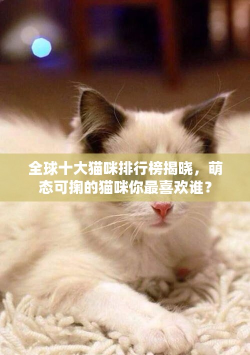 全球十大貓咪排行榜揭曉，萌態(tài)可掬的貓咪你最喜歡誰(shuí)？