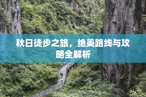 秋日徒步之旅，絕美路線與攻略全解析