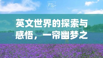 英文世界的探索與感悟，一簾幽夢(mèng)之旅