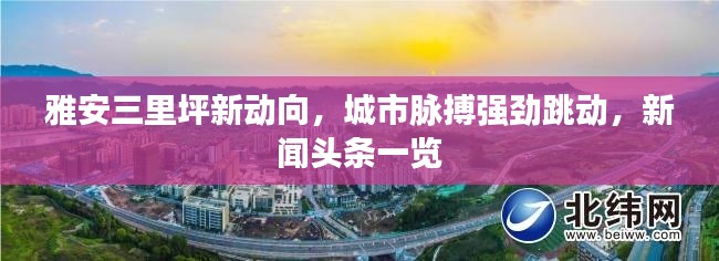 雅安三里坪新動向，城市脈搏強勁跳動，新聞頭條一覽