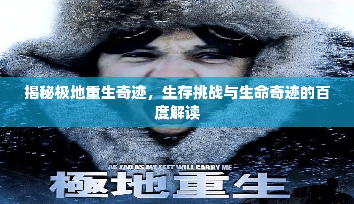 揭秘極地重生奇跡，生存挑戰(zhàn)與生命奇跡的百度解讀