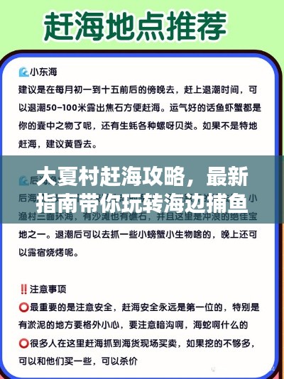 大夏村趕海攻略，最新指南帶你玩轉(zhuǎn)海邊捕魚！