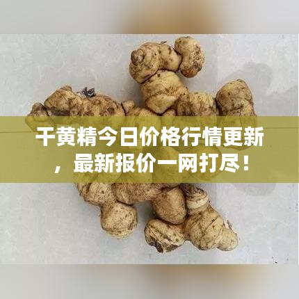 干黃精今日價格行情更新，最新報價一網(wǎng)打盡！
