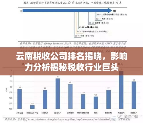 云南稅收公司排名揭曉，影響力分析揭秘稅收行業(yè)巨頭