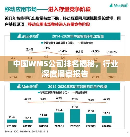 中國WMS公司排名揭秘，行業(yè)深度洞察報(bào)告