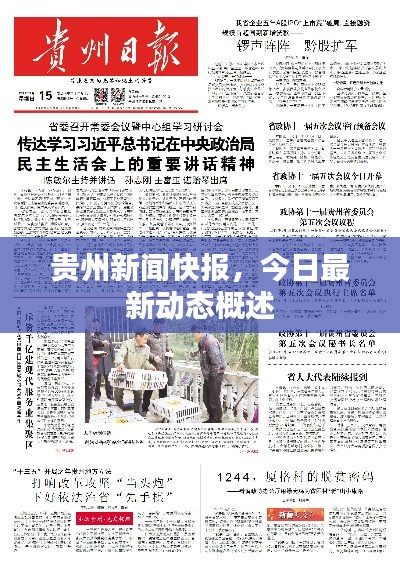 貴州新聞快報，今日最新動態(tài)概述