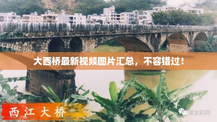 大西橋最新視頻圖片匯總，不容錯過！