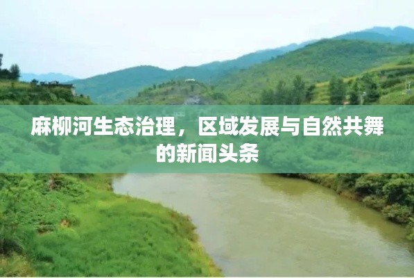 麻柳河生態(tài)治理，區(qū)域發(fā)展與自然共舞的新聞頭條