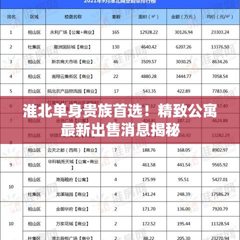 淮北單身貴族首選！精致公寓最新出售消息揭秘