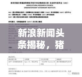 新浪新聞?lì)^條揭秘，豬瘟疫情最新動(dòng)態(tài)報(bào)告