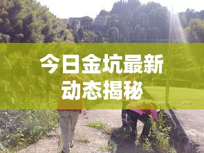 今日金坑最新動(dòng)態(tài)揭秘
