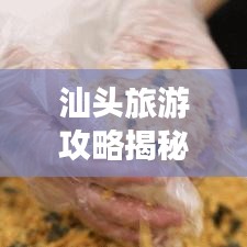 汕頭旅游攻略揭秘，免費(fèi)旅游好去處，美景一網(wǎng)打盡！
