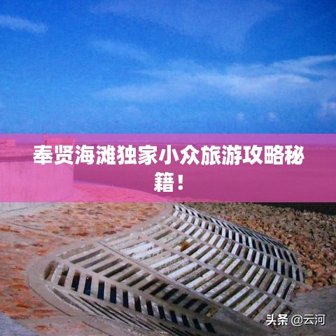奉賢海灘獨(dú)家小眾旅游攻略秘籍！