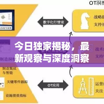 今日獨家揭秘，最新觀察與深度洞察的真相