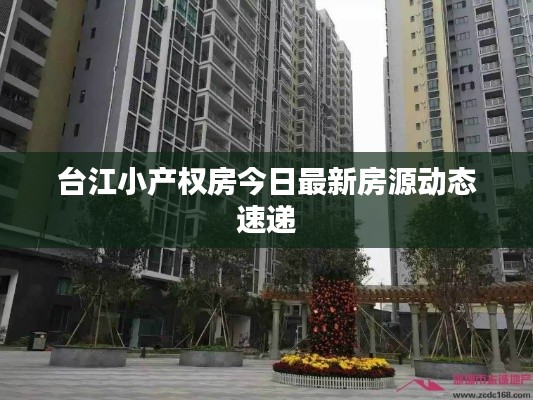 臺(tái)江小產(chǎn)權(quán)房今日最新房源動(dòng)態(tài)速遞
