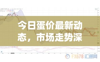 今日蛋價(jià)最新動(dòng)態(tài)，市場(chǎng)走勢(shì)深度解析
