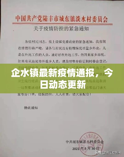 企水鎮(zhèn)最新疫情通報(bào)，今日動(dòng)態(tài)更新