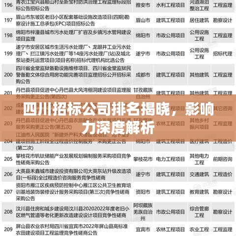 四川招標(biāo)公司排名揭曉，影響力深度解析