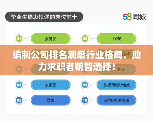 編制公司排名洞悉行業(yè)格局，助力求職者明智選擇！