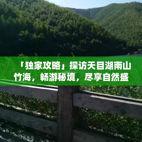 「獨(dú)家攻略」探訪天目湖南山竹海，暢游秘境，盡享自然盛宴！
