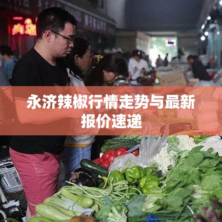 永濟辣椒行情走勢與最新報價速遞