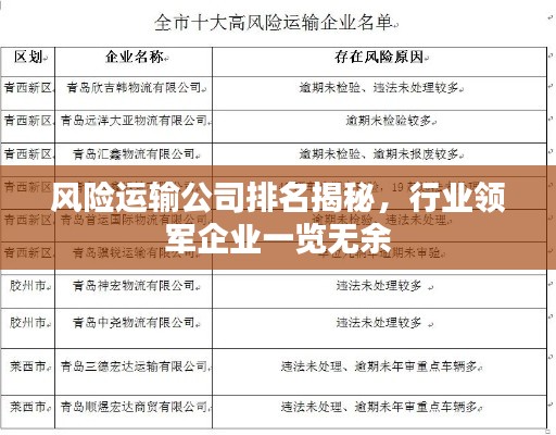 風(fēng)險(xiǎn)運(yùn)輸公司排名揭秘，行業(yè)領(lǐng)軍企業(yè)一覽無余