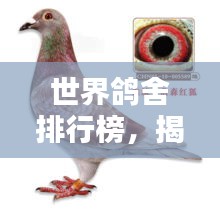 世界鴿舍排行榜，揭秘全球最大鴿舍TOP排名！